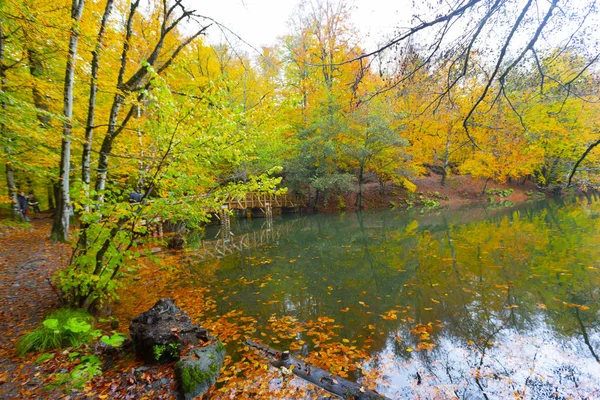 7Venlakes Nationalpark Herbst Bolu Truthahn Yedigoller Milli Park — Stockfoto
