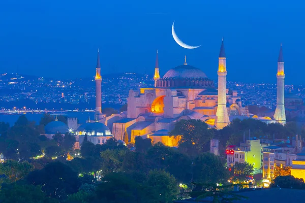 Hagia Sophia Museum Und Truthahn — Stockfoto
