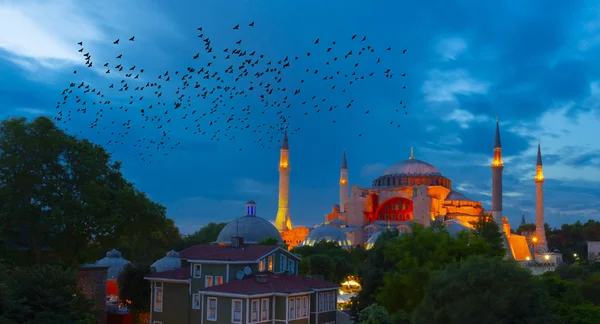 Hagia Sophia Museum Turkije — Stockfoto