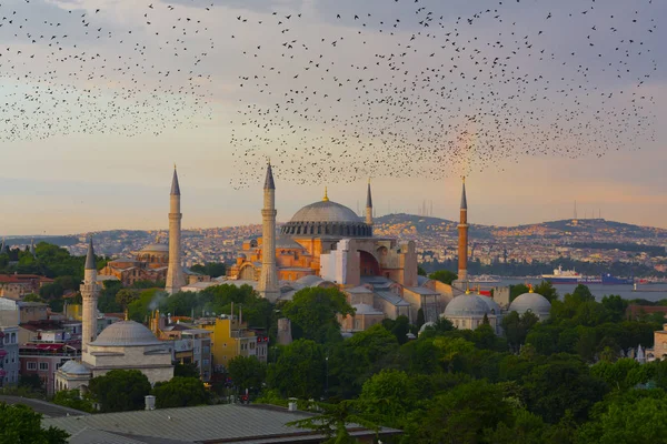 Museo Santa Sofia Turchia — Foto Stock