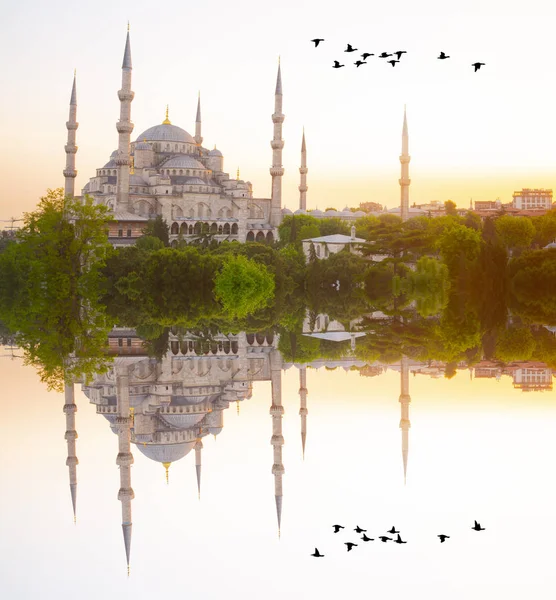 伊斯坦布尔的蓝色清真寺 苏丹阿赫迈特 伊斯坦布尔 土耳其 — 图库照片