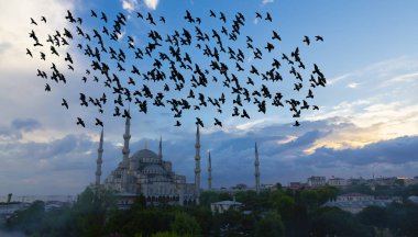 İstanbul Sultanahmet Camii.' İstanbul, Türkiye.