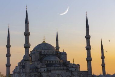 İstanbul Sultanahmet Camii.' İstanbul, Türkiye.