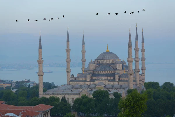 Die Blaue Moschee Sultanahmet Camii Istanbul Istanbul Türkei — Stockfoto