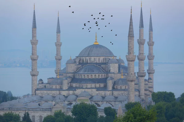 伊斯坦布尔的蓝色清真寺 苏丹阿赫迈特 伊斯坦布尔 土耳其 — 图库照片