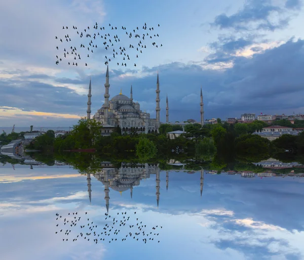 Modrá Mešita Sultanahmet Camii Istanbulu Istanbul Turecko — Stock fotografie