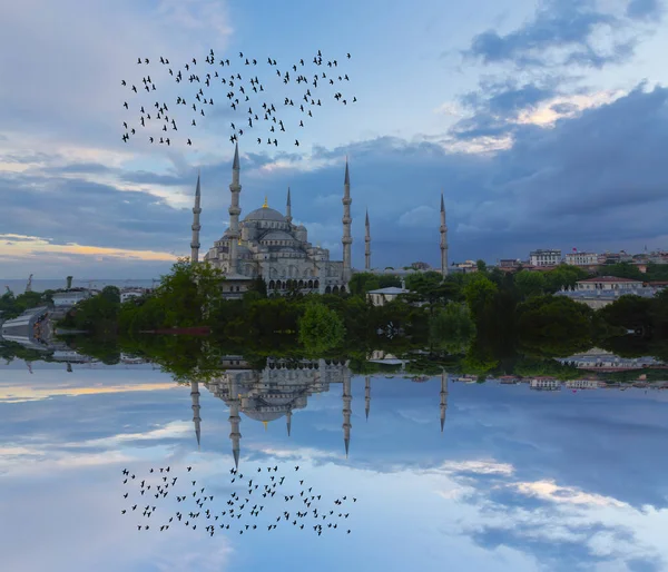 Kék Mecset Sultanahmet Camii Isztambulban Istanbul Törökország — Stock Fotó