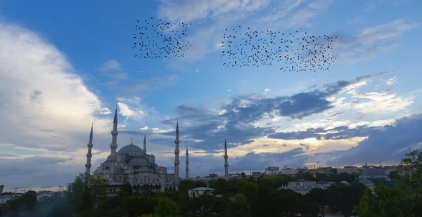 Blue Mosque Sultanahmet Camii Istanbul Istanbul Turkey — Stock Photo, Image
