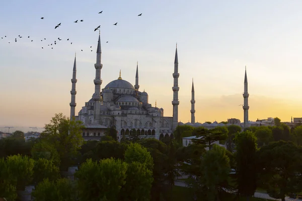 Μπλε Τζαμί Σουλταναχμέτ Camii Στην Κωνσταντινούπολη Κωνσταντινούπολη Τουρκία — Φωτογραφία Αρχείου