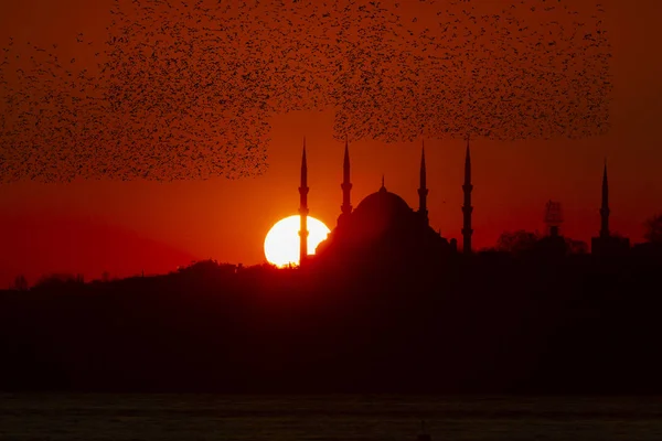 Istanbul Sunset Views Turquie — Photo