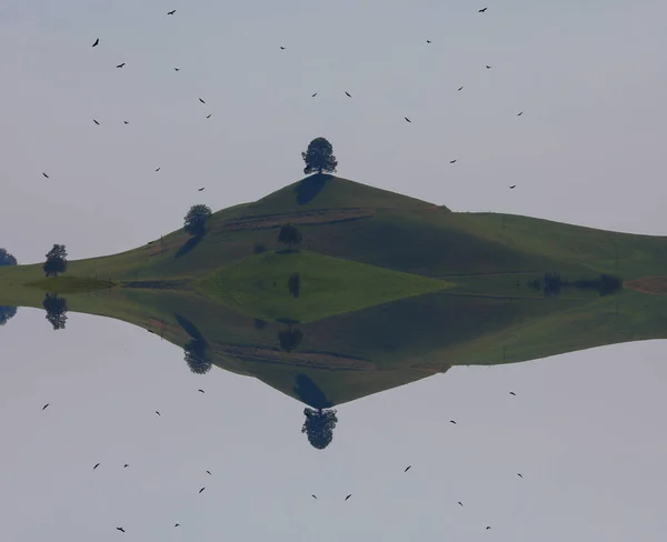 Bela Árvore Uma Paisagem Calma Hirzel Suíça — Fotografia de Stock