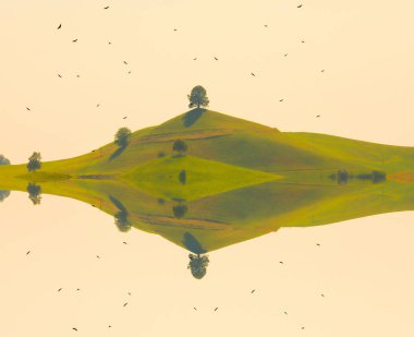 Hirzel / İsviçre 'nin güzel ağaç manzaraları