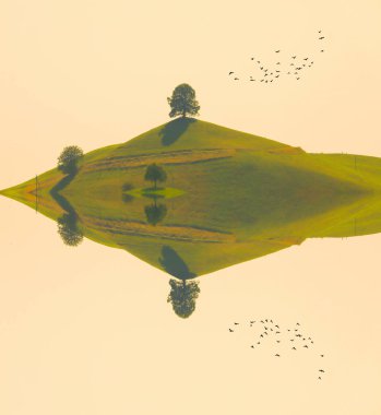 Hirzel / İsviçre 'nin güzel ağaç manzaraları