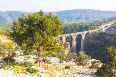Dağ demiryolu köprüsü panoraması. Dağ demiryolu köprüsü görünümü. Dağlarda demiryolu köprüsü. Dağ demiryolu köprü sahnesi