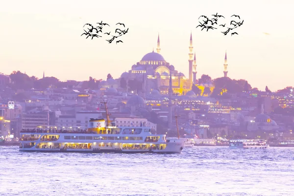 Süleymaniye Camii Istanbul Türkiye — Stok fotoğraf