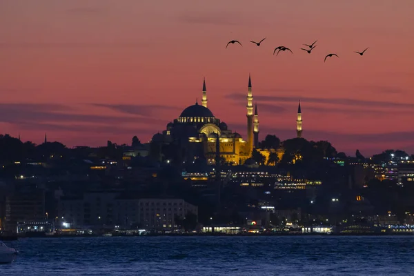 Мечеть Сулеймание Стамбул Турция — стоковое фото