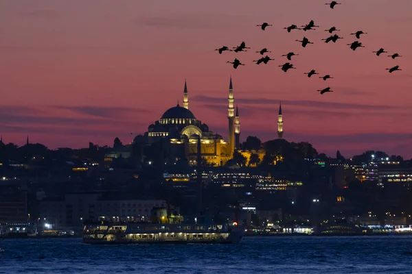 Mosquée Suleymaniye Istanbul Turquie — Photo