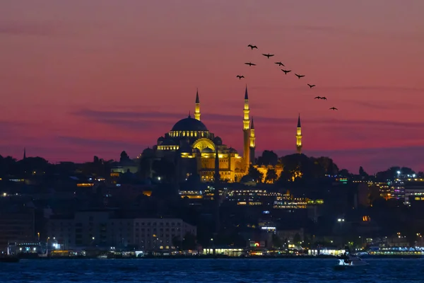 Mezquita Suleymaniye Estambul Turquía — Foto de Stock