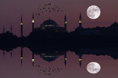 Süleymaniye Camii / İstanbul.