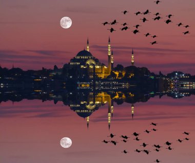 Süleymaniye Camii / İstanbul.