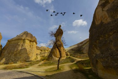 Orta Anadolu, Göreme, Türkiye 