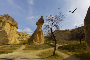 Orta Anadolu, Göreme, Türkiye 