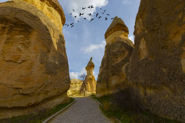 Anatolia Central Goreme Turquía —  Fotos de Stock