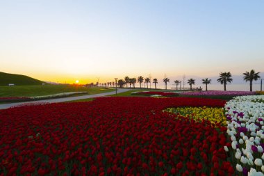 Sekapark, İzmit, Kocaeli. Deniz kıyısındaki güzel doğal park. Türkiye 'de gün batımı deniz manzarası.