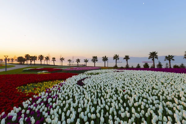 Sekapark Izmit Kocaeli Belo Parque Natural Litoral Pôr Sol Vista — Fotografia de Stock