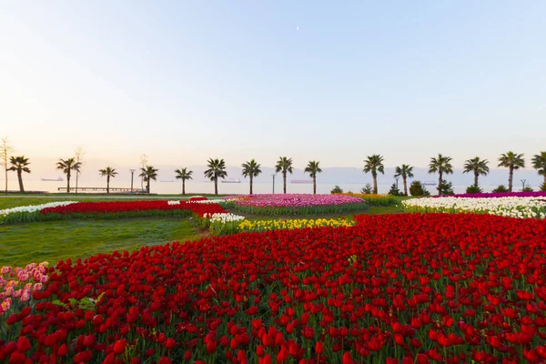 Sekapark, İzmit, Kocaeli. Deniz kıyısındaki güzel doğal park. Türkiye 'de gün batımı deniz manzarası.