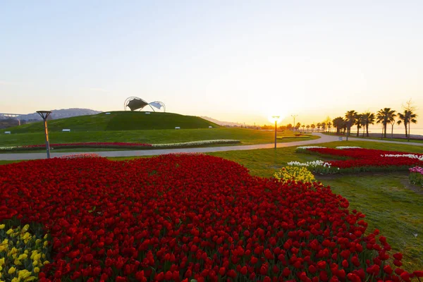 Sekapark, İzmit, Kocaeli. Deniz kıyısındaki güzel doğal park. Türkiye 'de gün batımı deniz manzarası.