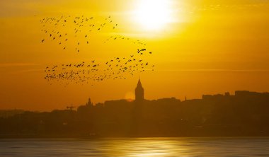 İstanbul Türkiye'de gün batımından sonra Galata Kulesi