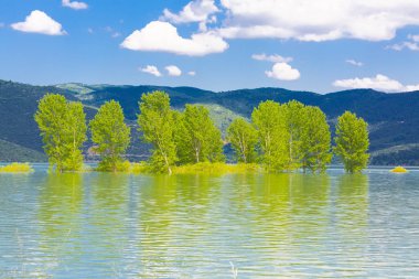 Ağaçlı ormanlık yol Dudaklı koyu Kestel Bursa Türkiye