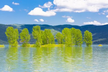 Ağaçlı ormanlık yol Dudaklı koyu Kestel Bursa Türkiye