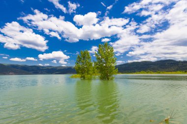 Ağaçlı ormanlık yol Dudaklı koyu Kestel Bursa Türkiye