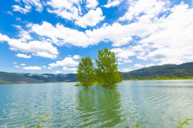 Ağaçlı ormanlık yol Dudaklı koyu Kestel Bursa Türkiye