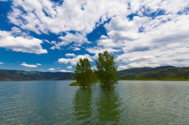 Ağaçlı ormanlık yol Dudaklı koyu Kestel Bursa Türkiye