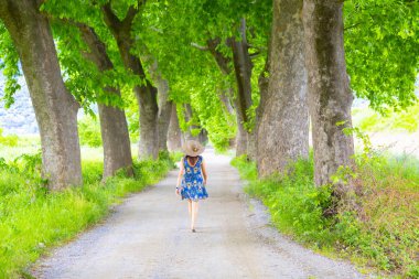 Ağaçlı ormanlık yol Dudaklı koyu Kestel Bursa Türkiye