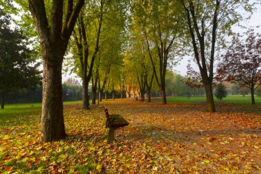 Bursa Botanik Parkı / Türkiye 