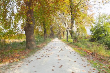 Bursa Botanik Parkı / Türkiye 