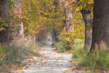 Bursa Botanik Parkı / Türkiye 