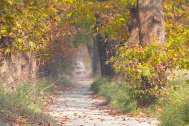 Bursa Botanik Parkı / Türkiye 
