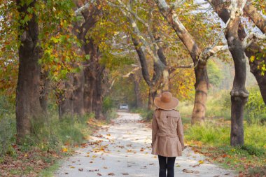 Bursa Botanik Parkı / Türkiye 