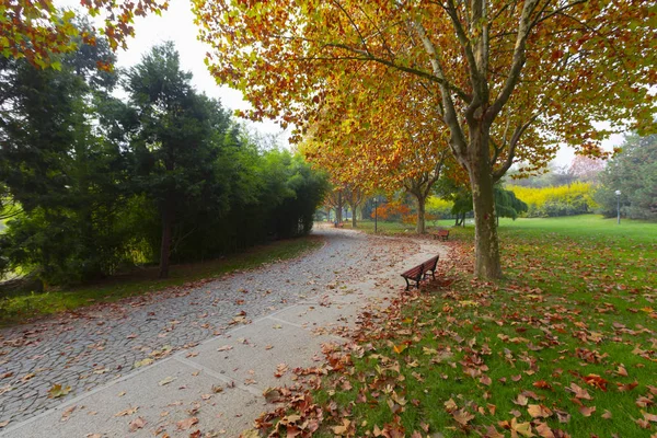 Bursa Parque Botânico Turquia — Fotografia de Stock