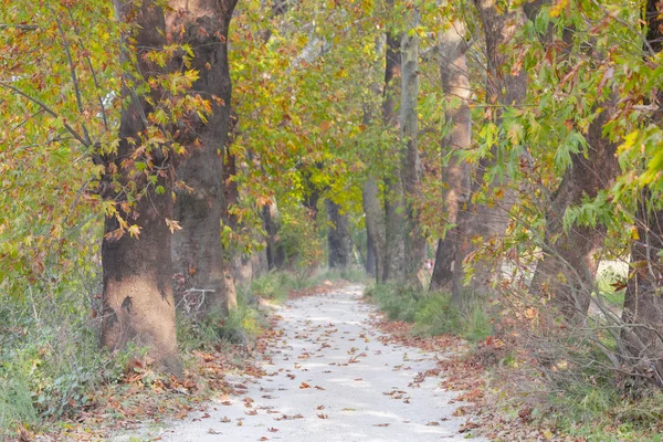 Bursa Botanik Parkı / Türkiye 