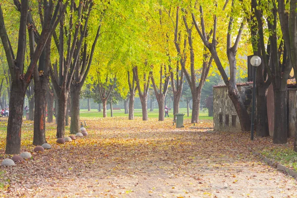 Bursa Botanical Park Turkey — Stock Photo, Image