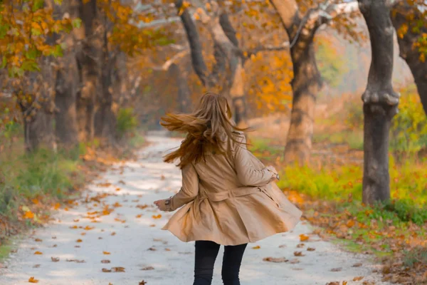 Ağaçlar tarafından oluşturulan tüneller ve toprak yollar. Bolu, Yedigöller, Abant, Uludağ, Dudaklı, Bursa, Türkiye.