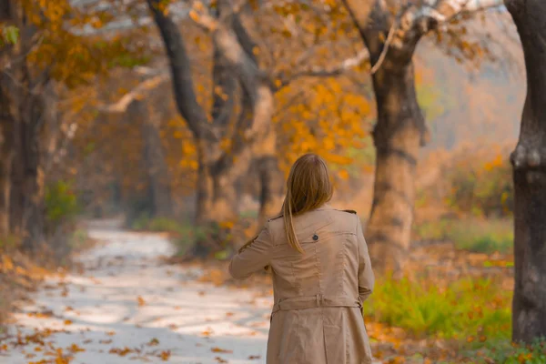 Ağaçlar tarafından oluşturulan tüneller ve toprak yollar. Bolu, Yedigöller, Abant, Uludağ, Dudaklı, Bursa, Türkiye.