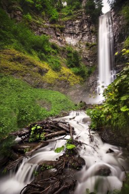 Maral Şelalesi Artvin Türkiye