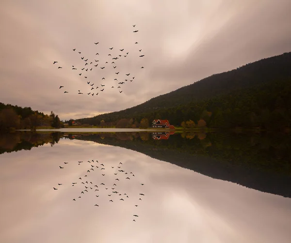 Lago Golcuk Bolu Turquía Hermosa Vista Lago — Foto de Stock